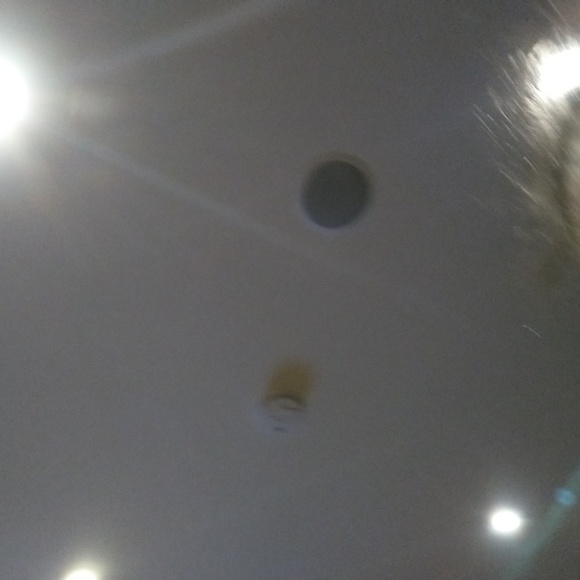 Meet your Posher, Mira - Picture 1 of 1